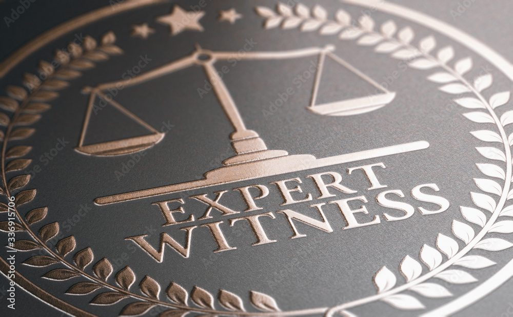 Expert Witness–Testing for Legal Sufficiency