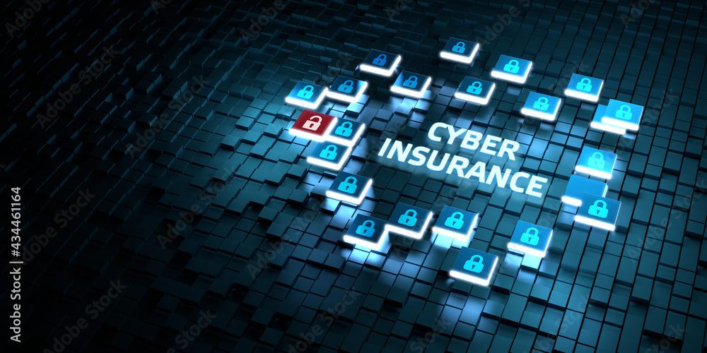 Cyber Insurance Policy–Sample #2