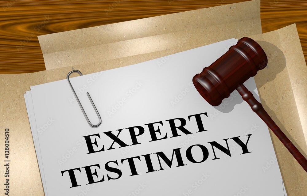 The Prudent Expert Witness: Agreements and Performance, #1